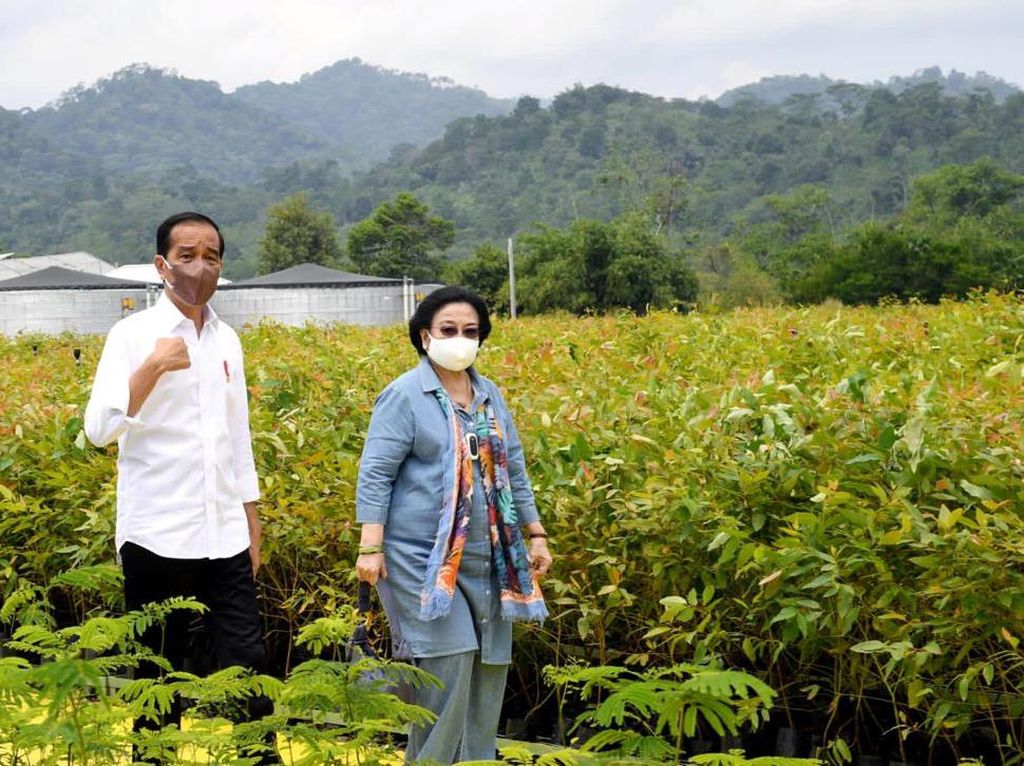 Pakar UGM: Jika Hubungan Mega-Jokowi Renggang, Ganjar Tak Mampu Jadi Perekat Pakar UGM: Jika Hubungan Mega-Jokowi Renggang, Ganjar Tak Mampu Jadi Perekat