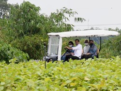 Jokowi Sopiri Megawati Saat Tinjau Persemaian Modern Rumpin Bogor