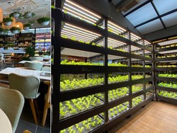 Keren Banget! Restoran Hotpot Ini Punya Kebun Sayuran Sendiri di Dalamnya