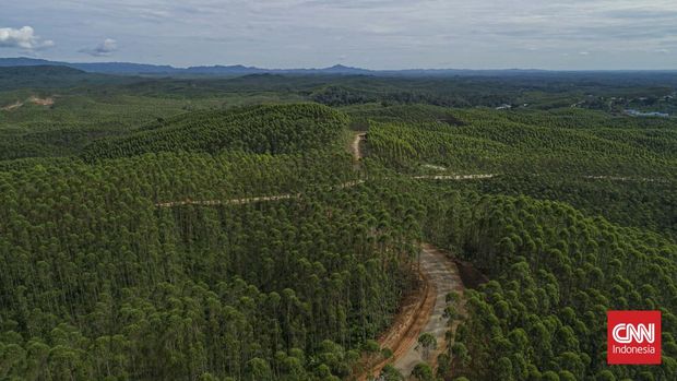 Lipsus Ibu Kota Negara Nusantara, Lipsus IKN Nusantara Lanskap wilayah Ibu Kota Negara (IKN). Kalimantan Timur. Minggu, 13 Februari 2022.