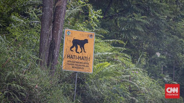 Rambu peringatan Kawanan Monyet di Bukit Soeharto. Kalimantan Timur. Jumat, 11 Februari 2022.