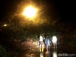 Tebing Setinggi 7 Meter Longsor Tutup Total Jalur Pacet-Trawas Mojokerto
