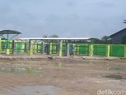 Kontraktor Pasar Hewan di Bojonegoro Buka Suara Soal Dugaan Kasus Korupsi