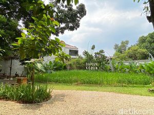Dapoer Kebun: Cicip Ayam Sambal Matah hingga Kopi Pala di Resto Rasa Bali Dapoer Kebun: Cicip Ayam Sambal Matah hingga Kopi Pala di Resto Rasa Bali