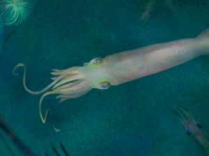 Udang sampai Kepiting Bisa Rasakan Emosi, Begini Penjelasannya Udang sampai Kepiting Bisa Rasakan Emosi, Begini Penjelasannya