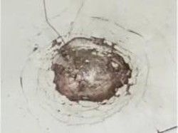 Update Terkini Ledakan Petasan yang Dirakit Siswa SMA Solo di Ruang Kelas