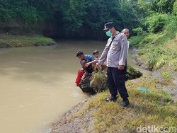 Pria di Probolinggo Hilang Terseret Arus Sungai Saat Buang Hajat