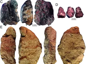 Aha! Perilaku Inovatif Sudah Ada Sejak 40 Ribu Tahun Lalu Aha! Perilaku Inovatif Sudah Ada Sejak 40 Ribu Tahun Lalu