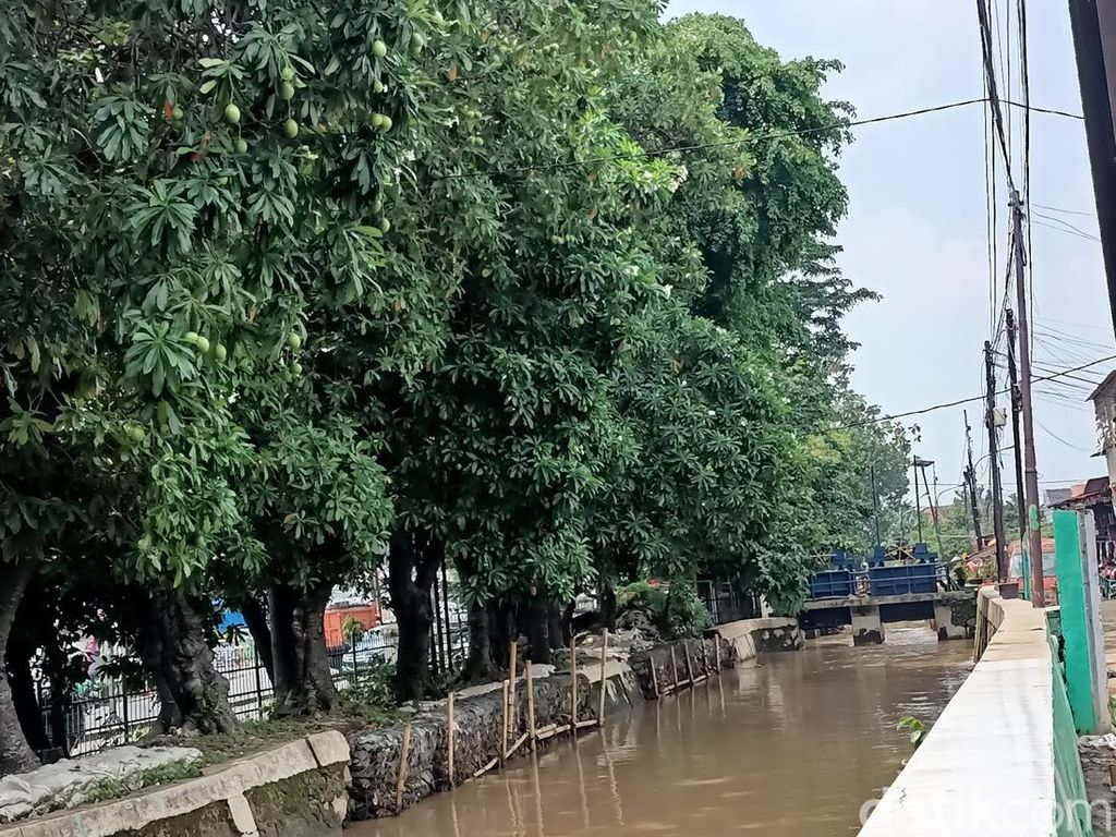 Pembangunan Tanggul Dekat Pertigaan Hek Kramat Jati Segera Dilanjut Pembangunan Tanggul Dekat Pertigaan Hek Kramat Jati Segera Dilanjut