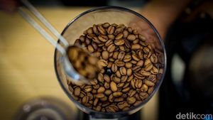 Tengok Cara Pemerintah Dorong Kopi Indonesia Makin Dikenal Dunia