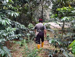 Cerita Babeh Idin Susuri Sungai dari Bogor ke Jakut dengan Getek Gedebok