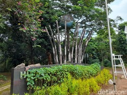 Hutan Kota Sangga Buana Bisa Genjot Sektor Pariwisata dan Ekonomi Kreatif DKI