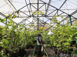 Inovasi Wakaf Pertanian Regeneratif