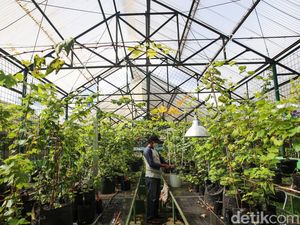 Inovasi Wakaf Pertanian Regeneratif Inovasi Wakaf Pertanian Regeneratif