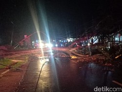Pemotor Tewas Tertimpa Pohon Tumbang di Tanjungsari