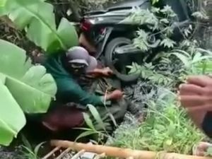 Pikap Tabrak Biker di Pasuruan Hingga Tewas Lalu Kabur Pikap Tabrak Biker di Pasuruan Hingga Tewas Lalu Kabur