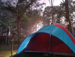 Seru Nih! Ini 5 Tempat Camping di Lembang Bandung