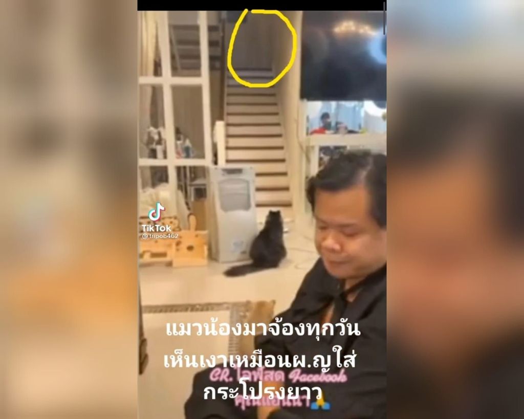 Viral