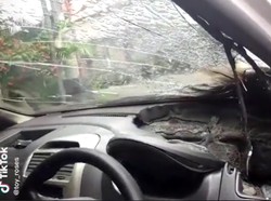 Viral Dashboard Mobil sampai Meleleh Gegara Korek Gas Meledak