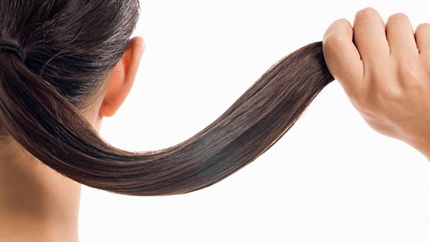 ilustrasi gaya rambut kuncir kuda