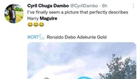 Ada yang meledek Harry Maguire bak tempat sampah. Sadis banget! (Foto: Twitter @CyrilDambo)