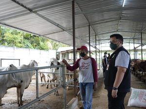 Bupati Kediri Apresiasi Keberhasilan Poktan Mengolah Limbah Sapi