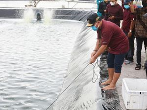 Pemprov Kalteng Siapkan Rp 85 M Bangun Kawasan Tambak Udang 40,17 Ha