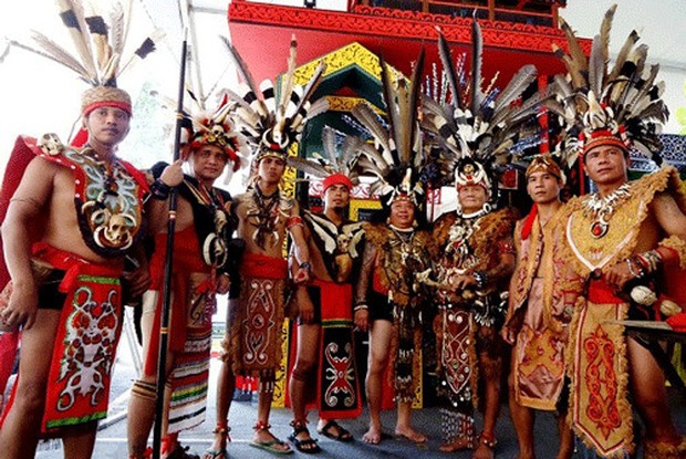 Bulu dan kepala burung Enggang sebagai hiasan baju adat suku Dayak
