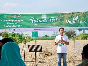 Strategi Biar Peternak dan Petani Jagung Sama-sama Untung Strategi Biar Peternak dan Petani Jagung Sama-sama Untung