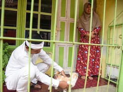 Gerak Cepat Dedi Mulyadi Evakuasi Kucing Kampung yang Terluka ke RS