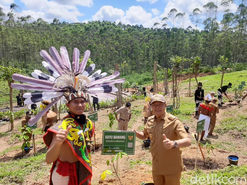 Tanam Pohon Kayu Bawang di IKN, Gubernur Bengkulu: Simbol Kehidupan Baru