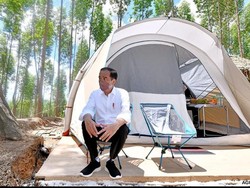 Kecuali Isran Noor, Gubernur Se-Kalimantan Batal Kemah Bareng Jokowi di IKN