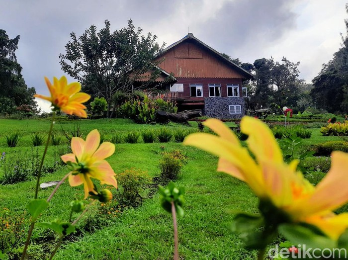 Guest House peninggalan Meneer Belanda di lereng Gunung Raung Bondowoso