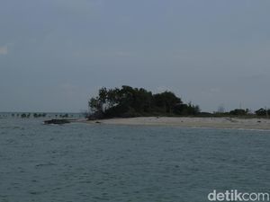 Ancam Ekologis, API Desak Pemerintah Cabut Izin PT KEI di Blok Kangean Ancam Ekologis, API Desak Pemerintah Cabut Izin PT KEI di Blok Kangean