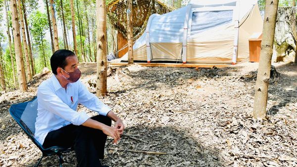 Jokowi Kemah di IKN Nusantara, Bawa Mi Instan dan Tenda Ditabur Garam