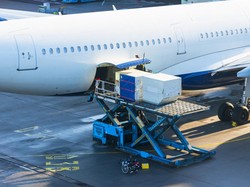 Terungkap! Kargo Pesawat Bukan Tidak Mungkin Angkut Ular dan Tarantula