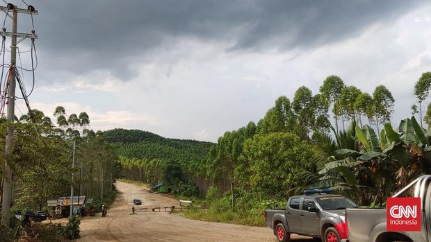 Jalur masuk menuju kawasan IKN Nusantara tampak mendung pada Senin (14/3) sore. (CNN Indonesia/Yuda)