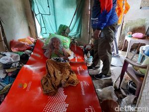Tinggal Bersama 20 Ekor Ayam, Nenek Lumpuh di Jember Enggan Repotkan Cucu