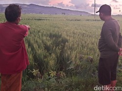 Turun dari Mobil, Pria di Jember Ini Dibacok Pemotor Hingga Tewas