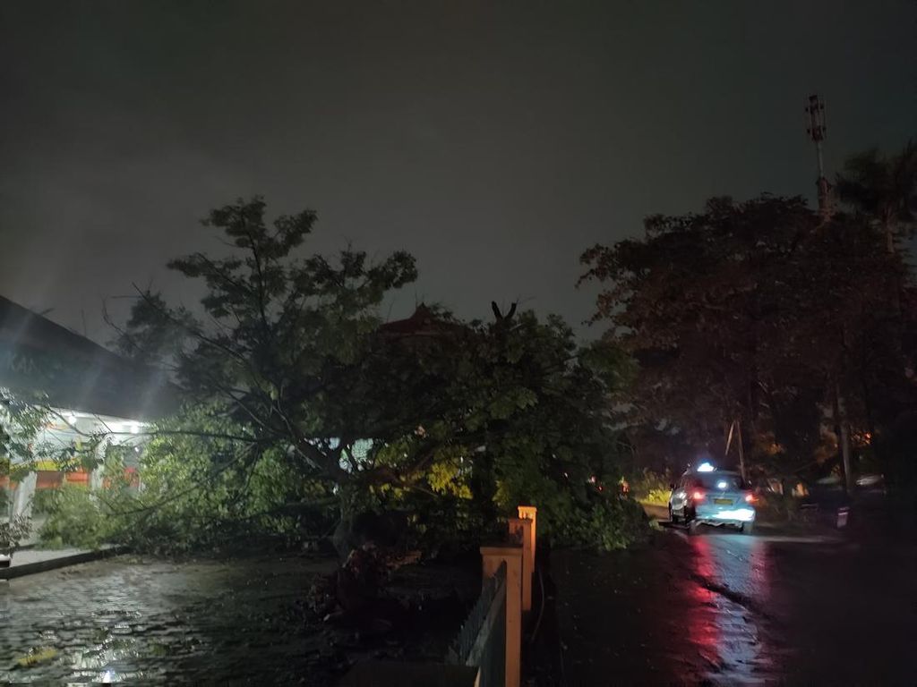 Hujan Deras dan Angin Kencang, Pohon 15 Meter di Kantor Pos Depok Tumbang