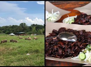 Unik! Di Restoran Ini Bisa Cicip Kambing Bakar Sambil Main Bareng Kambing