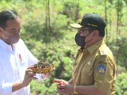 Wagub Bali Bawa Tanah-Air Suci dari Pura Pusering Jagat untuk IKN