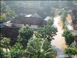 Banjir Rendam Ratusan Rumah dan Sawah di 4 Kecamatan Lumajang