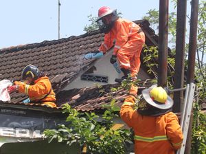 Gegara Sarang Tawon, Petugas Damkar Sampai Turun Tangan