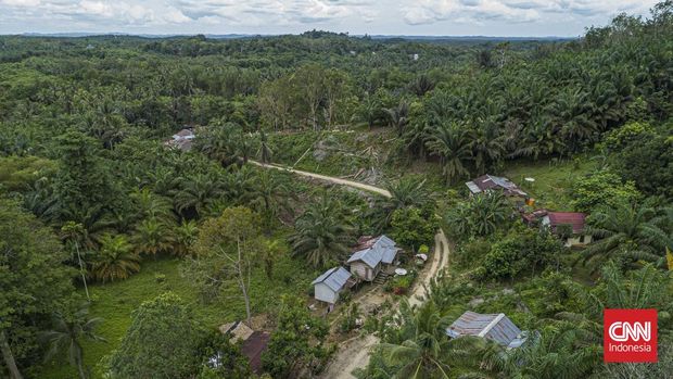 Suasana pemukiman warga di Pemaluan, Kecamatan Sepaku. Kalimantan Timur, Minggu, 13 Februari 2022. (CNN Indonesia/ Adhi Wicaksono)