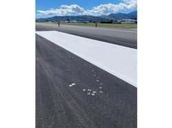 Saat Burung Camar Ikut Ngecat Landasan Bandara, Ini yang Terjadi