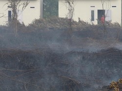 Kabut Asap di Mempawah, Warga Keluhkan Kualitas Udara Tercemar