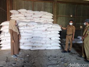 Pemkab Bone Ungkap Kekurangan 447.000 Ton Pupuk Bersubsidi, Stok Susah