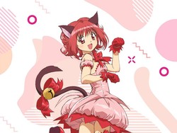 Komikus Tokyo Mew Mew Meninggal Dunia