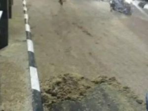 Viral Video Gerombolan Serangga Kuasai Jembatan Wanarata Pemalang